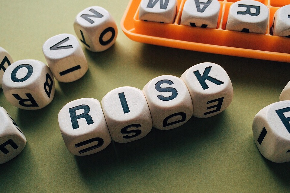Project risk