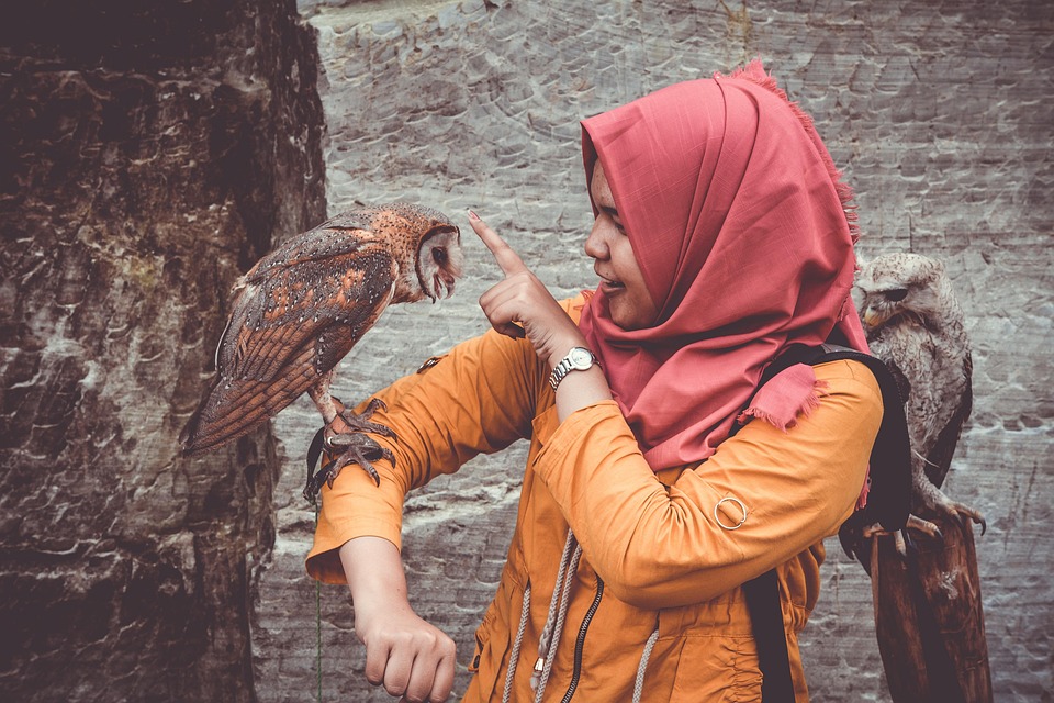 Customer Experience Strategy