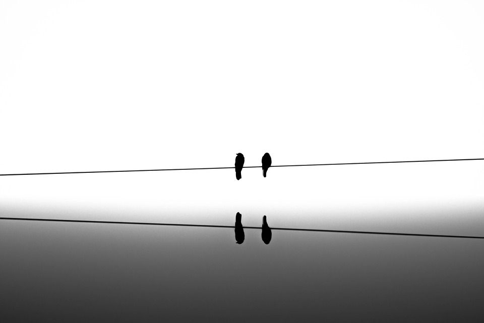 Project and portfolio management